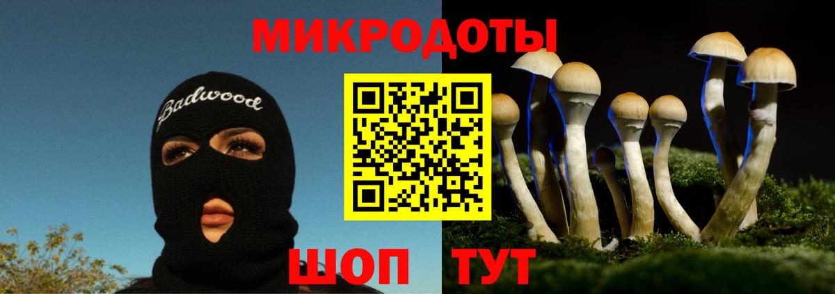 магазин продажи   Вход с VPN  Псков  Галлюциногенные грибы прущие грибы 